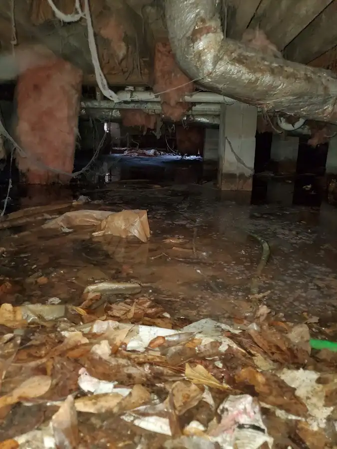 Crawl space flood assessment for Commercial Water Damage Restoration in West Jefferson