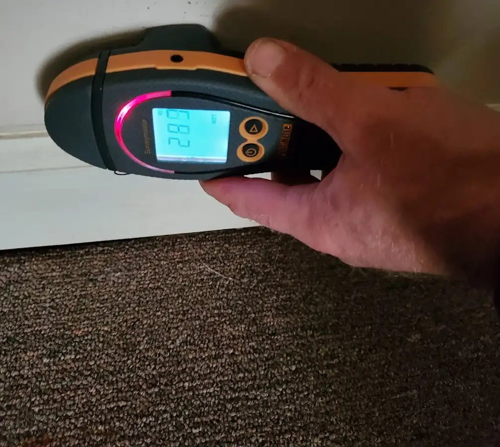 Moisture detection at baseboard during Sewage Cleanup & Sanitation in West Jefferson